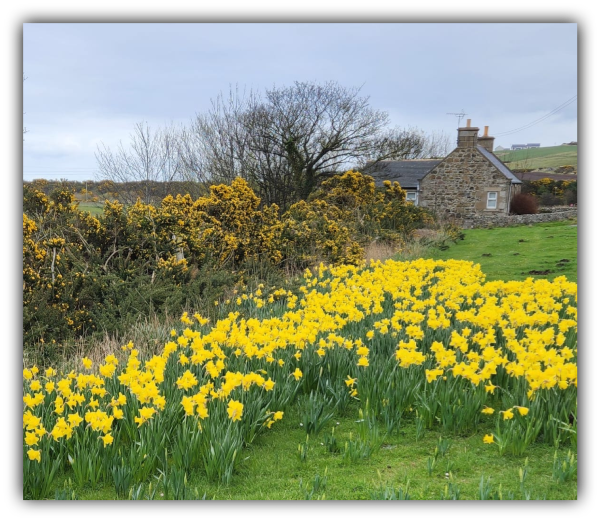 Spring Comes to Scotland * New Life Old Farmers